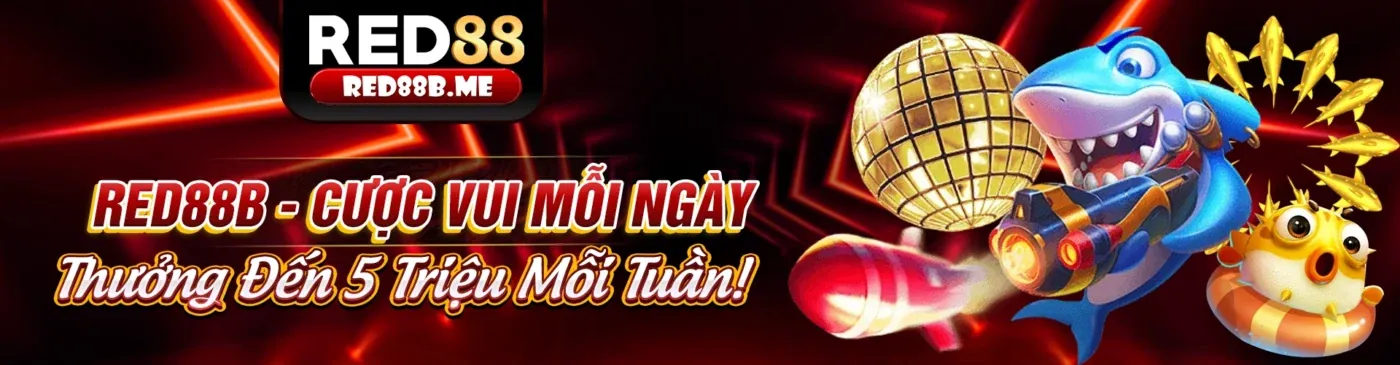 Ưu đãi đặc biệt bl555