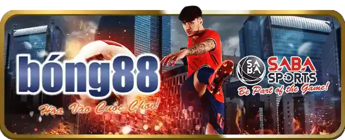 Các chương trình khuyến mãi hấp dẫn của bl555